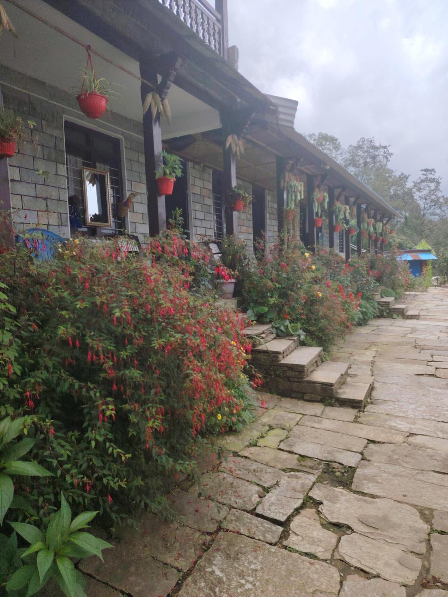 Panorama View Point Lodge And Restaurant, Annapurna-10, Ghandruk ,Agarju Astam Exteriér fotografie